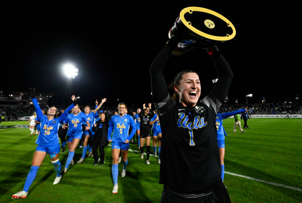 新这一奇特 新这一奇特