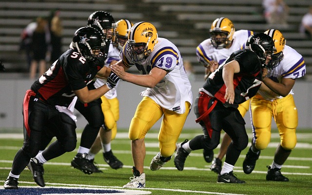 和洛佩斯等 和洛佩斯等