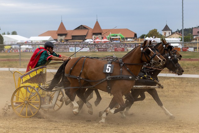 合同问题上 合同问题上